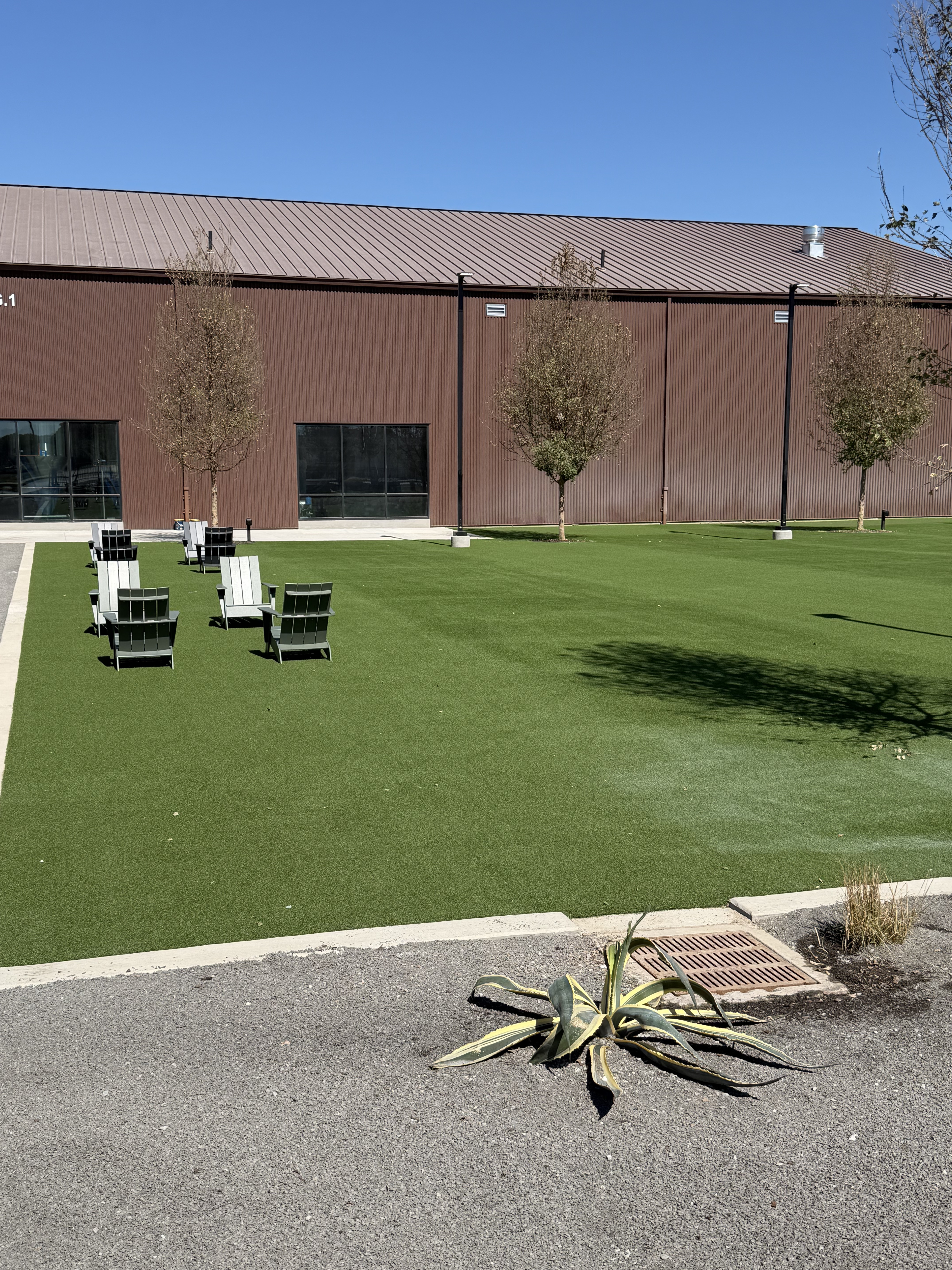 Commercial turf installation - IMG 5991