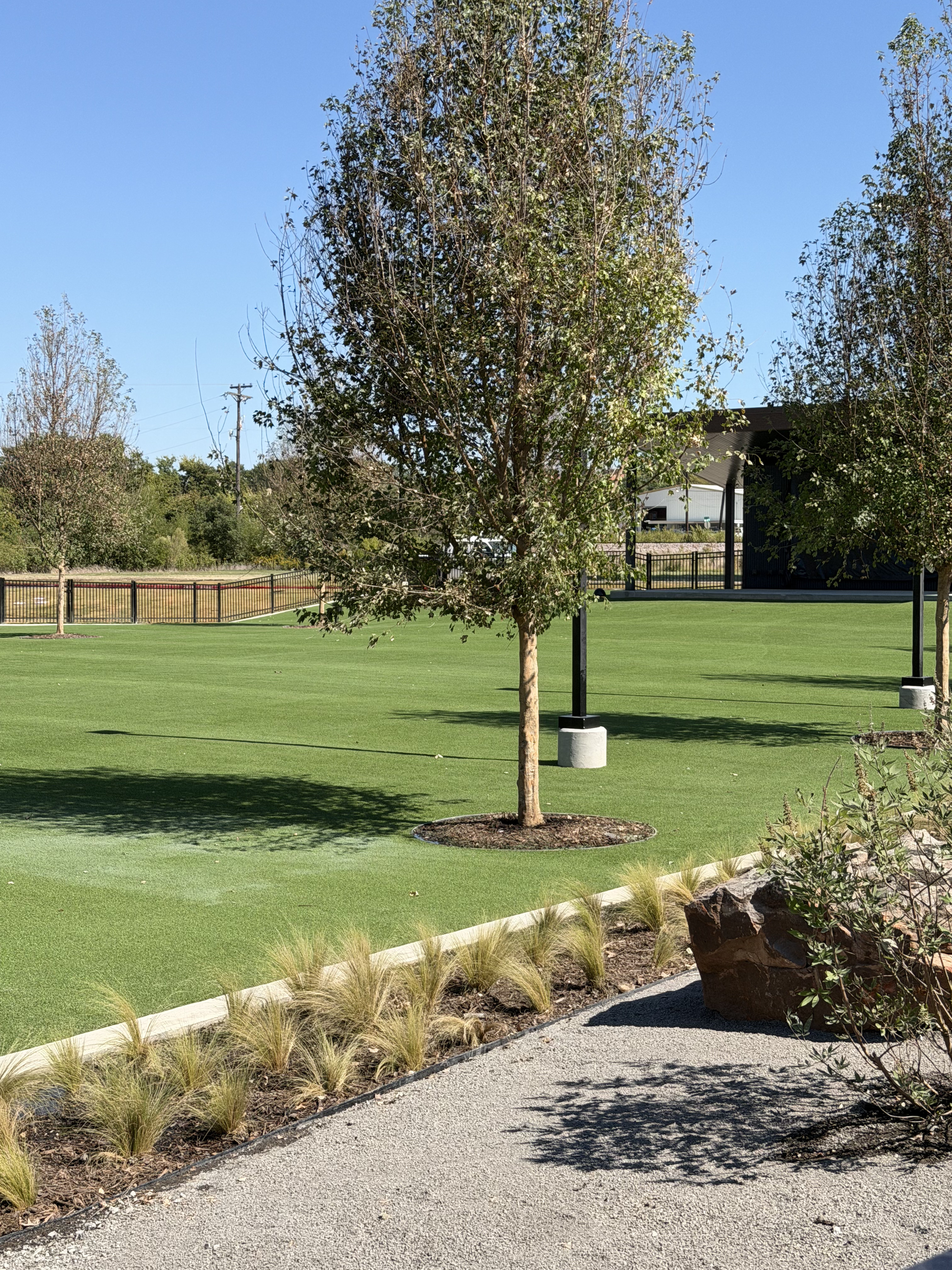 Commercial turf installation - IMG 5992