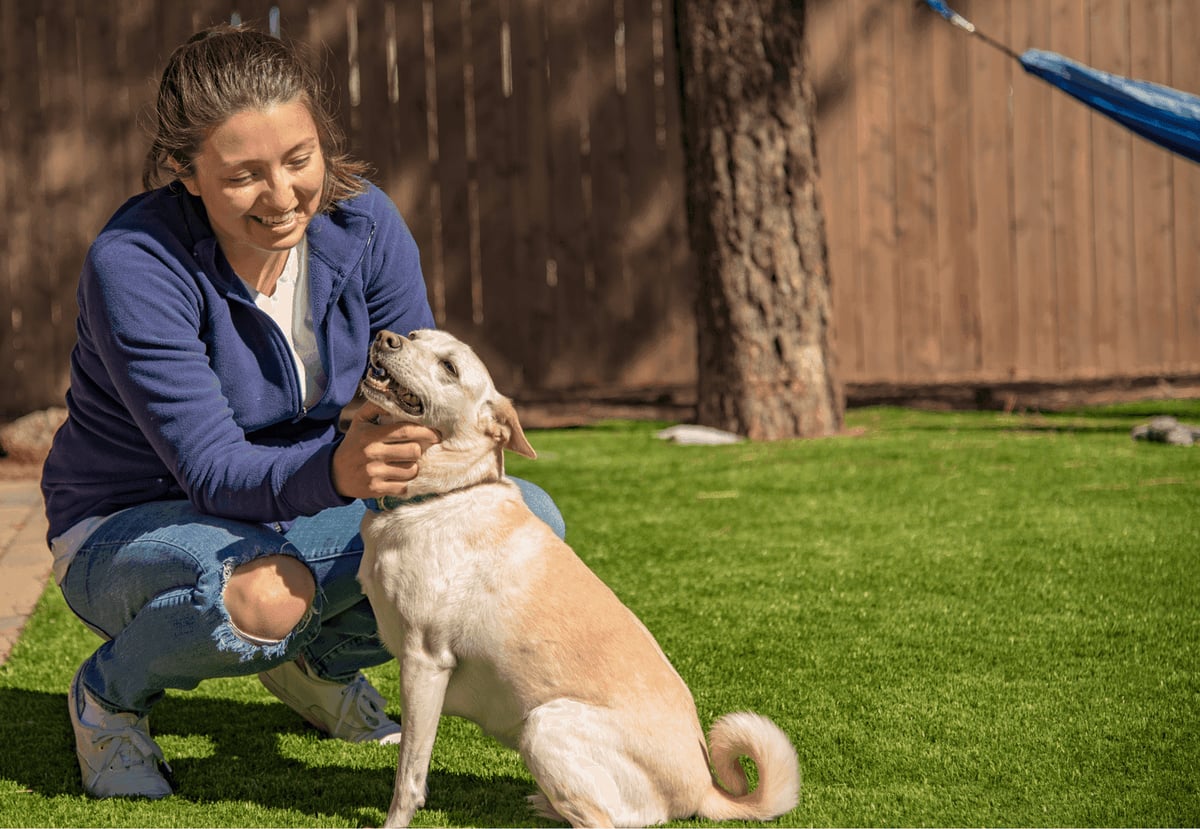 Best Artificial Grass for Dogs: A Complete Pet Owner's Guide