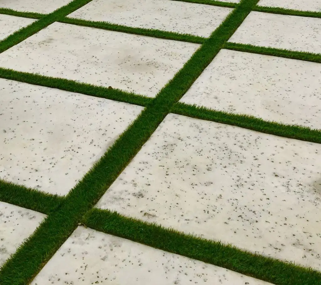 artificial turf and pavers